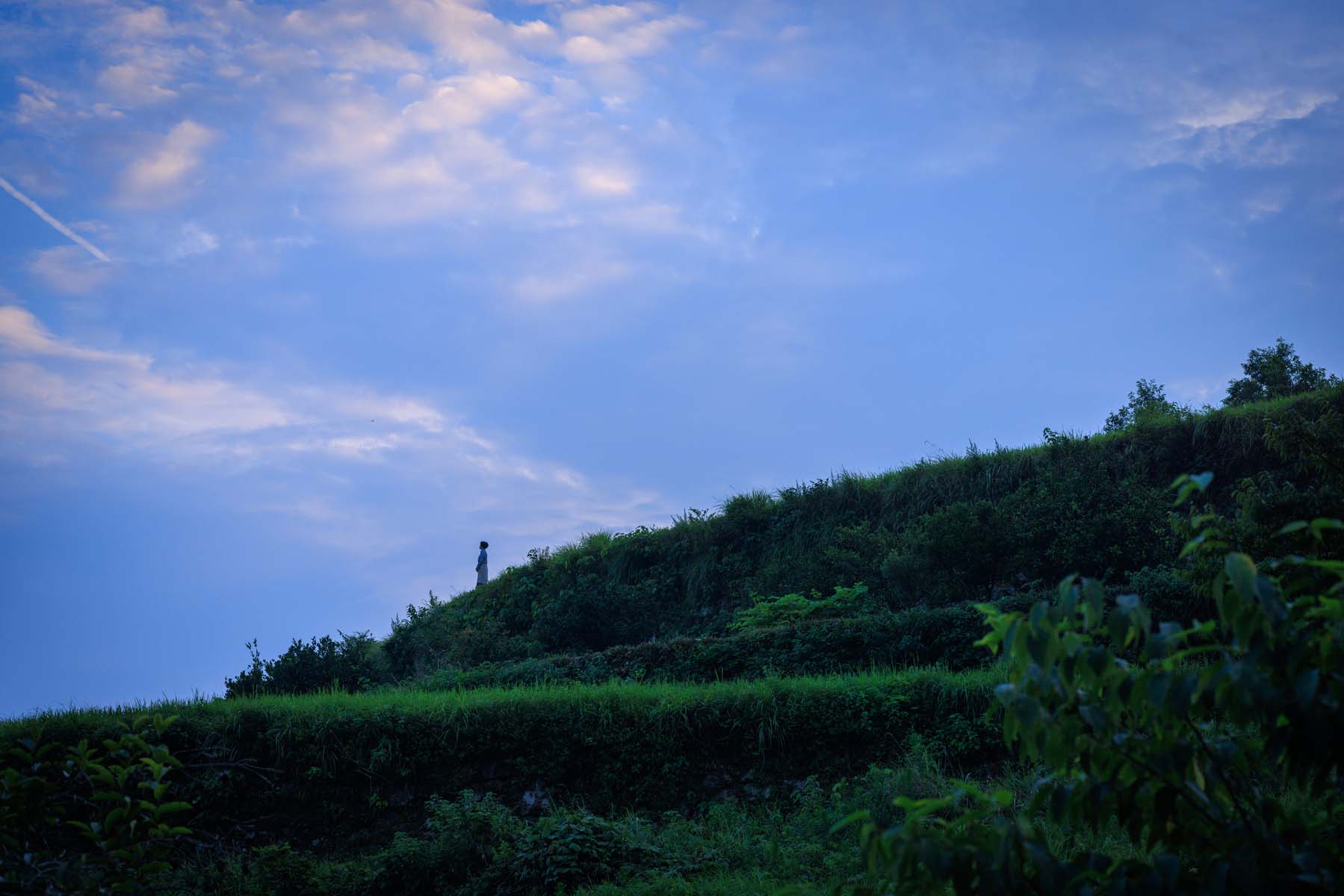 香美市の美しい山間